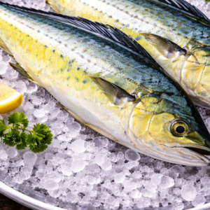 Mahi Mahi Fish